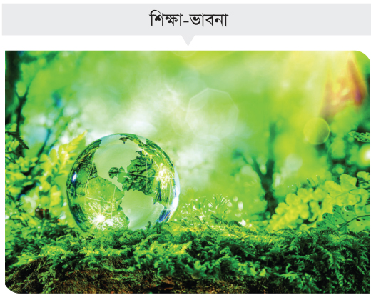 প্রকৃতি ও পরিবেশ রক্ষায় জীববৈচিত্র্যের ভূমিকা প্রকৃতি ও পরিবেশ রক্ষায় জীববৈচিত্র্যের ভূমিকা