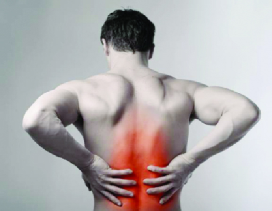 মেরুদণ্ডের ব্যথা প্রতিরোধে করণীয় মেরুদণ্ডের ব্যথা প্রতিরোধে করণীয়