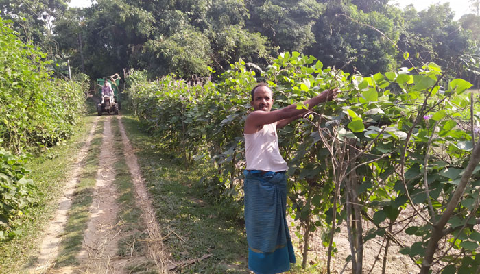 রাস্তার পাশে শাক সবজি চাষে অর্থ পুষ্টি দুই’ই আসে রাস্তার পাশে শাক সবজি চাষে অর্থ পুষ্টি দুই’ই আসে