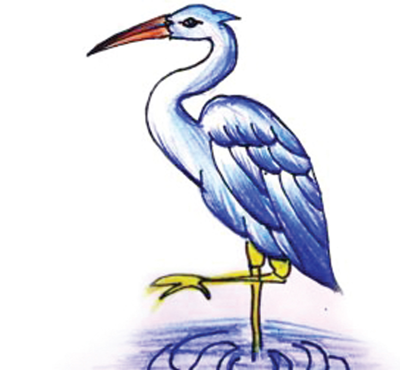 শিকারির ফাঁদে বক শিকারির ফাঁদে বক