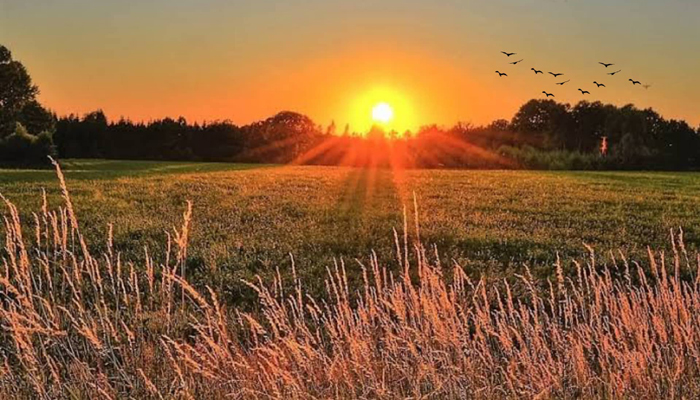 মুমিনের সন্ধা মুমিনের সন্ধা