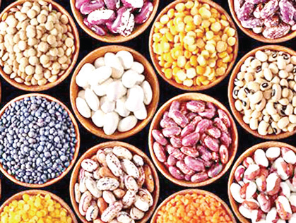 কোন ডালের কোন পুষ্টিগুণ কোন ডালের কোন পুষ্টিগুণ