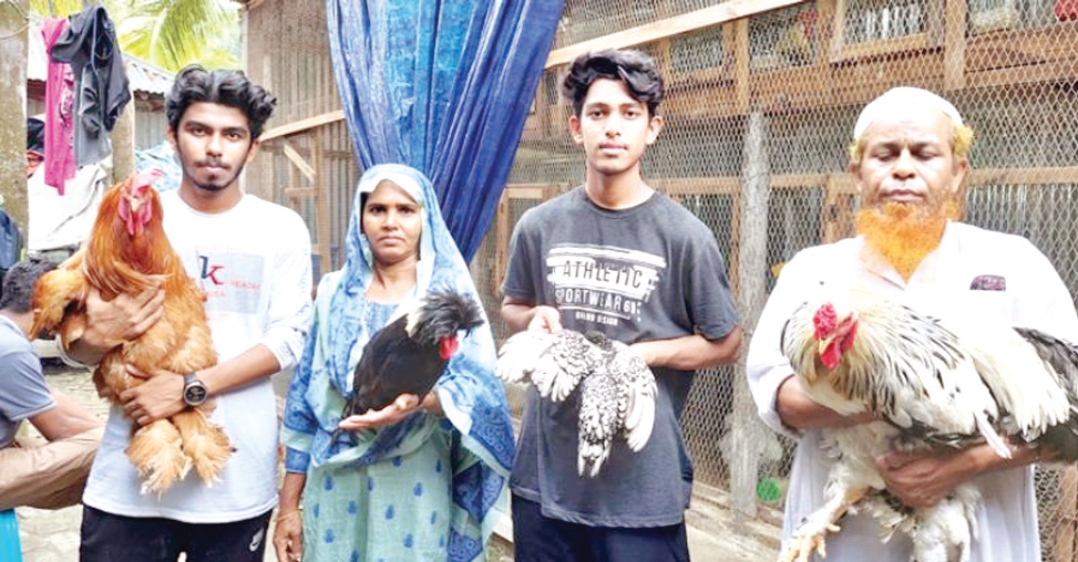 পড়াশোনার পাশাপাশি মুরগির খামারে আপনের বাজিমাত পড়াশোনার পাশাপাশি মুরগির খামারে আপনের বাজিমাত