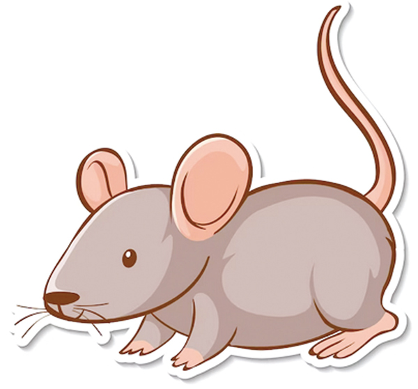 ইঁদুরের অধিকার ইঁদুরের অধিকার