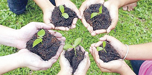 পরিবেশ রক্ষায় বনায়ন পরিবেশ রক্ষায় বনায়ন