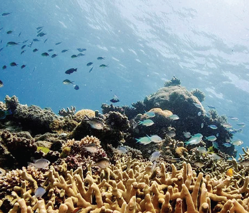 সাগর-মহাসাগর আল্লাহর অনন্য সৃষ্টি সাগর-মহাসাগর আল্লাহর অনন্য সৃষ্টি