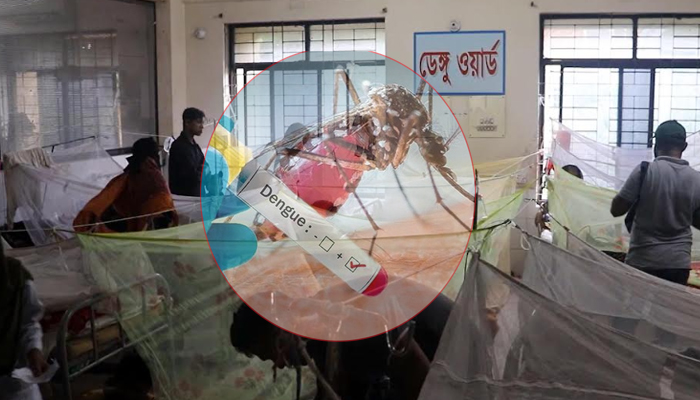 ডেঙ্গুতে আরও ১৩ জনের মৃত্যু, হাসপাতালে ২৭৪২
