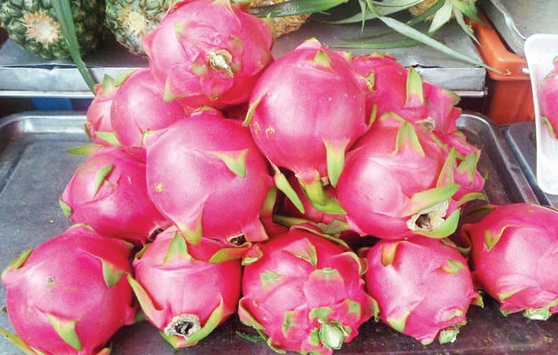 ড্রাগন ফলে টনিক ও হরমোন স্প্রে ব্যবহার ড্রাগন ফলে টনিক ও হরমোন স্প্রে ব্যবহার