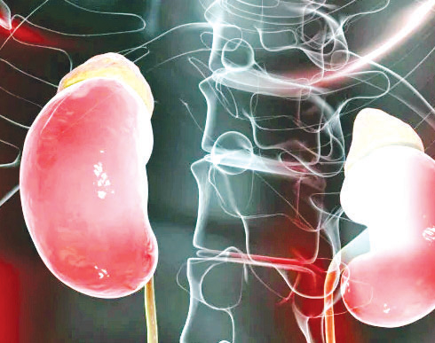 প্রস্রাবে জ্বালাপোড়ার কারণ কী? প্রস্রাবে জ্বালাপোড়ার কারণ কী?