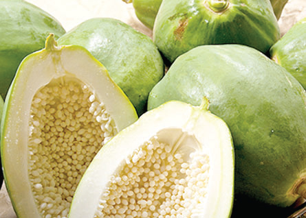 কাঁচা পেঁপের পুষ্টিগুণ কাঁচা পেঁপের পুষ্টিগুণ