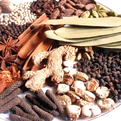 দিনাজপুরের হিলিতে বেড়েছে মসলার দাম দিনাজপুরের হিলিতে বেড়েছে মসলার দাম