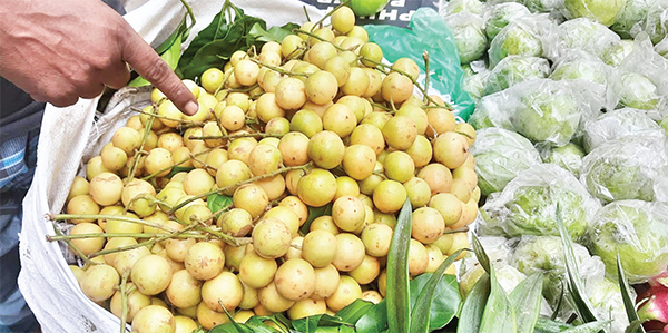মৌসুমি ফলের দামে আগুন লটকনের কেজি ২৫০