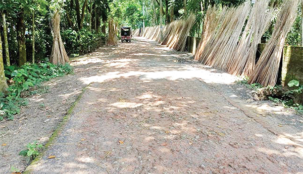 চলাচলে অনুপযোগী মধুখালীর ৮০ কিলোমিটার রাস্তা চলাচলে অনুপযোগী মধুখালীর ৮০ কিলোমিটার রাস্তা