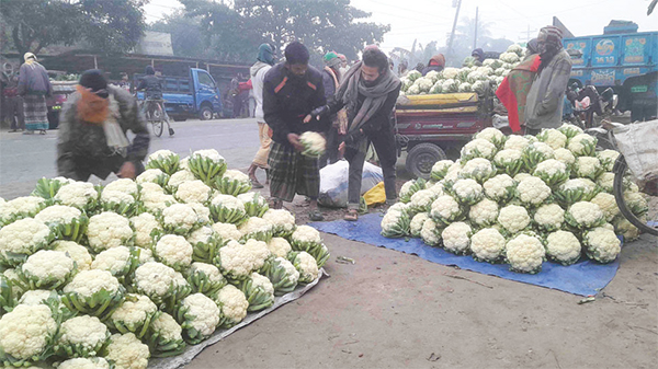 নওগাঁয় ফুলকপির পিস ৪ টাকা