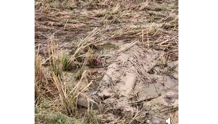 নিখোঁজের ৬ দিন পর যুবকের অর্ধগলিত মরদেহ উদ্ধার নিখোঁজের ৬ দিন পর যুবকের অর্ধগলিত মরদেহ উদ্ধার