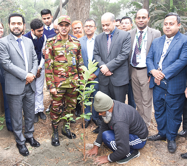 ঢাকা রেসিডেনসিয়াল মডেল কলেজে বৃক্ষরোপণ ঢাকা রেসিডেনসিয়াল মডেল কলেজে বৃক্ষরোপণ
