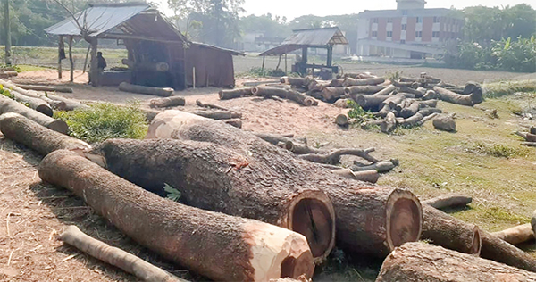 বিদ্যালয়ের সামনে ‘স’ মিলের ব্যবসা স্বাস্থ্য ঝুঁকিসহ দুর্ঘটনার শঙ্কা বিদ্যালয়ের সামনে ‘স’ মিলের ব্যবসা স্বাস্থ্য ঝুঁকিসহ দুর্ঘটনার শঙ্কা