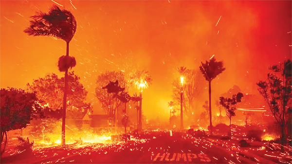 পুড়ে যাওয়া ভূমির পরিমাণ গাজা উপত্যকার অর্ধেক পুড়ে যাওয়া ভূমির পরিমাণ গাজা উপত্যকার অর্ধেক