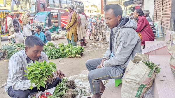 শত পরিবার স্বাবলম্বী