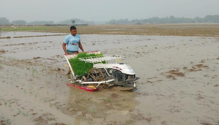 আখাউড়ায় সমলয় পদ্ধতিতে ধান চাষ শুরু