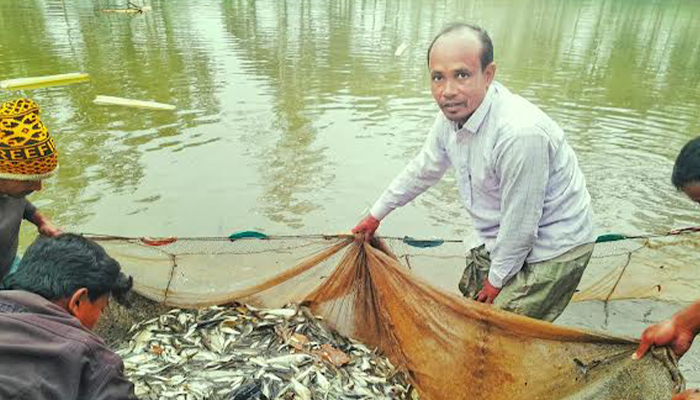 লালমনিরহাটের সফল মৎস্য চাষি পারভেজ