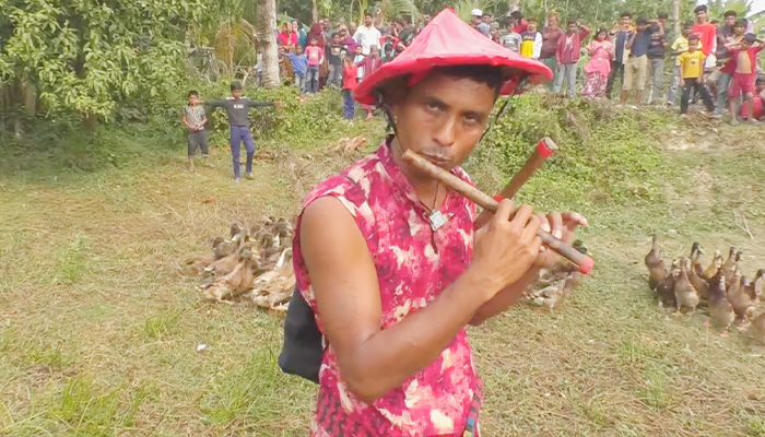 মিন্টুর পাতিহাঁস বাঁশির সুরে চলে মাইলের পর মাইল