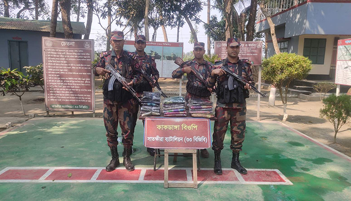 সাতক্ষীরায় বিজিবির অভিযানে সাড়ে ৬ লাখ টাকার ভারতীয় মালামাল জব্দ