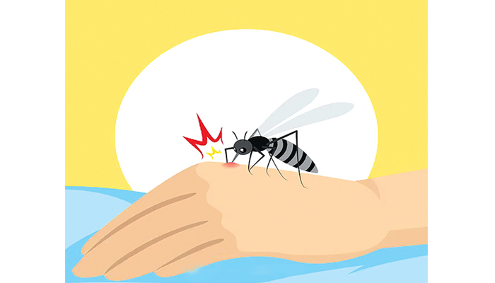 পরিচ্ছন্নতা ও ইসলাম পরিচ্ছন্নতা ও ইসলাম