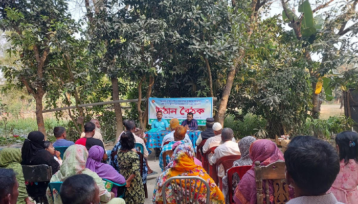 চৌদ্দগ্রামে নিরাপদ সবজি উৎপাদনে উঠান বৈঠক
