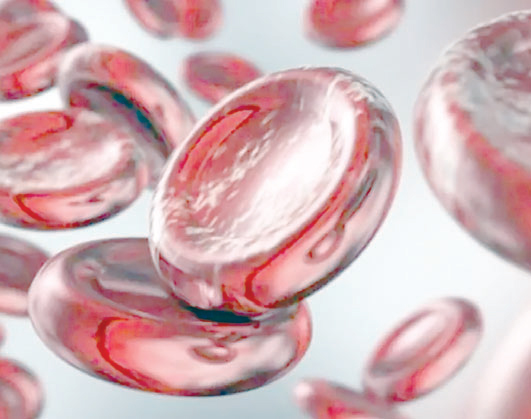 বাড়বে হিমোগ্লোবিন বাড়বে হিমোগ্লোবিন