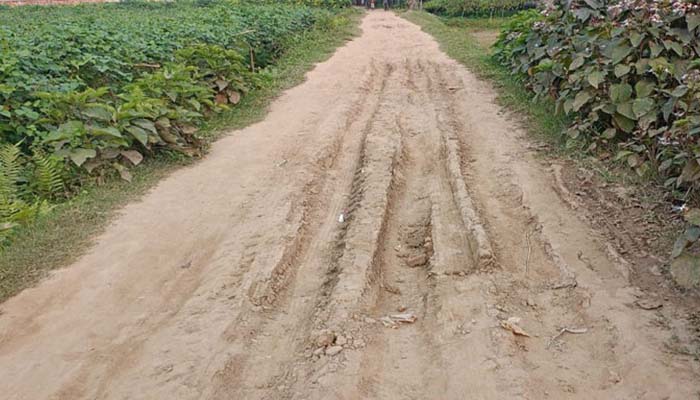 স্বাধীনতার ৫৪ বছরেও ঘোড়াঘাটের সড়কগুলোর বেহাল দশা