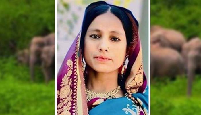 চকরিয়ায় বন্যহাতির আক্রমণে নারীর মৃত্যু