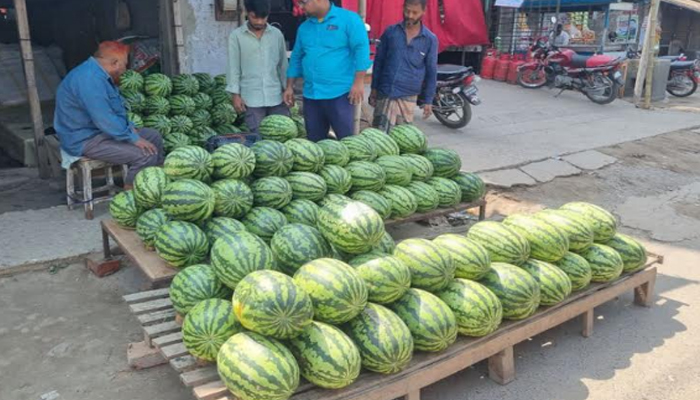 ফুলবাড়ীতে হাটবাজারে তরমুজের পসরা