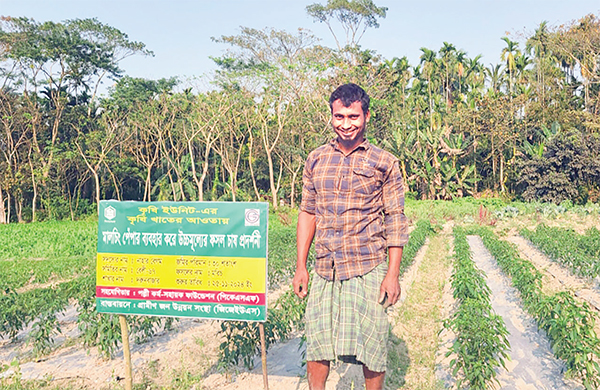 মালচিং পদ্ধতিতে সবজি চাষে সাফল্য