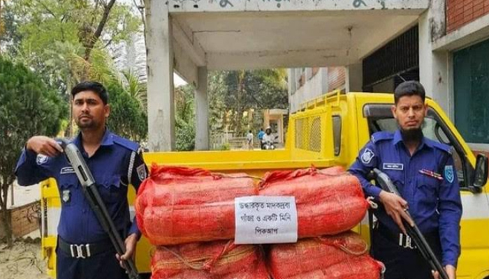 ফুলবাড়ীতে ৫৮ কেজি গাঁজাসহ পিকআপ জব্দ