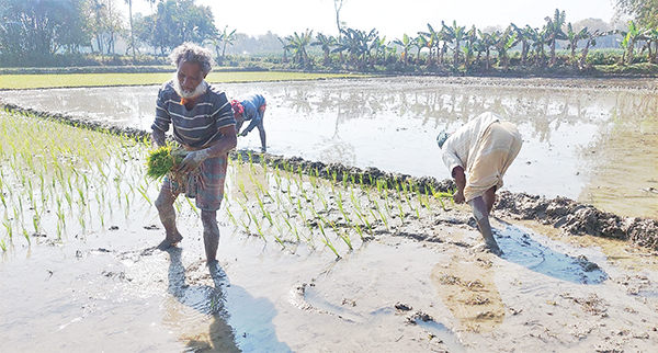 গঙ্গা-কপোতাক্ষ সেচ প্রকল্পের পাম্প চালু, সুবিধা পাবে দুই জেলার কৃষক
