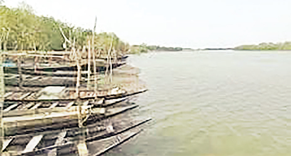 নিষেধাজ্ঞা অমান্য করে সুন্দরবনে মাছ শিকার