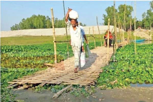 নৌকার পরিবর্তে বাঁশের সাঁকো