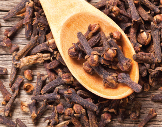 লবঙ্গের উপকারিতা লবঙ্গের উপকারিতা