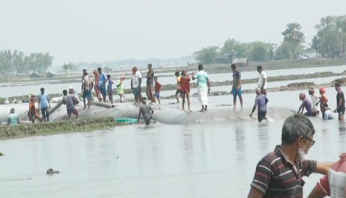 ৫ দিন পর খোলপেটুয়া নদীর ভাঙন স্থলে রিং বাঁধ নির্মাণ শুরু