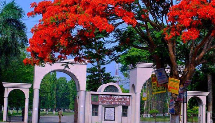 গাজায় হামলা: বিশ্বব্যাপী ধর্মঘটে ইবি শিক্ষার্থীদের সংহতি