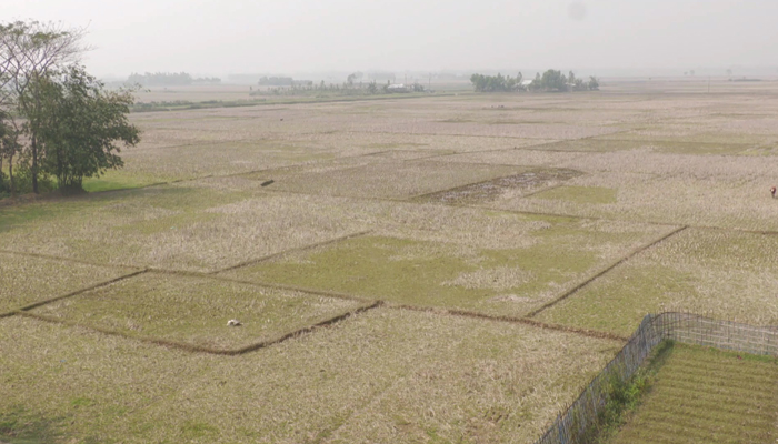 ইসলামে অন্যের জমি দখলের শাস্তি