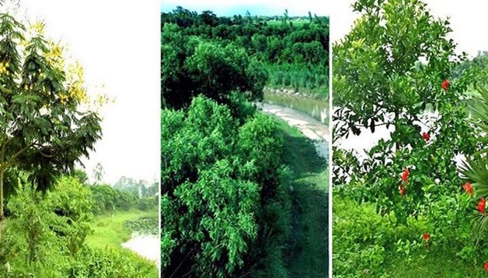 রংপুর অঞ্চলে পরিবেশগত উন্নতির পাশাপাশি পুনরুজ্জীবিত হচ্ছে বাস্তুতন্ত্র