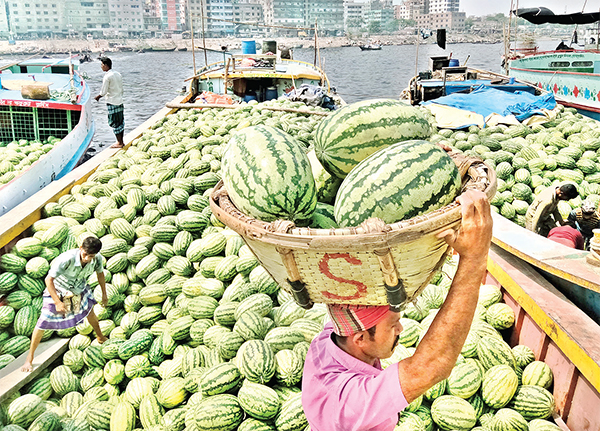 গরমে তরমুজের চাহিদা বাড়ছে