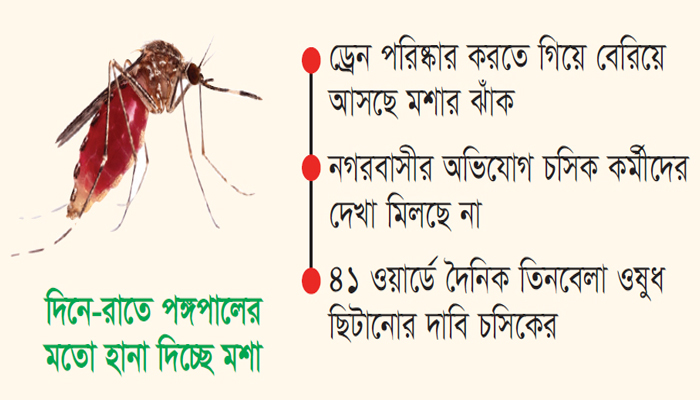 মশার দখলে চট্টগ্রাম মহানগরী, চসিক কর্মীদের দেখা নেই