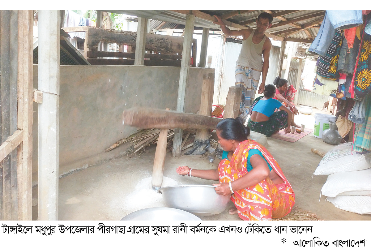 গ্রাম বাংলার ঐতিহ্য ঢেঁকি বিলুপ্তির পথে