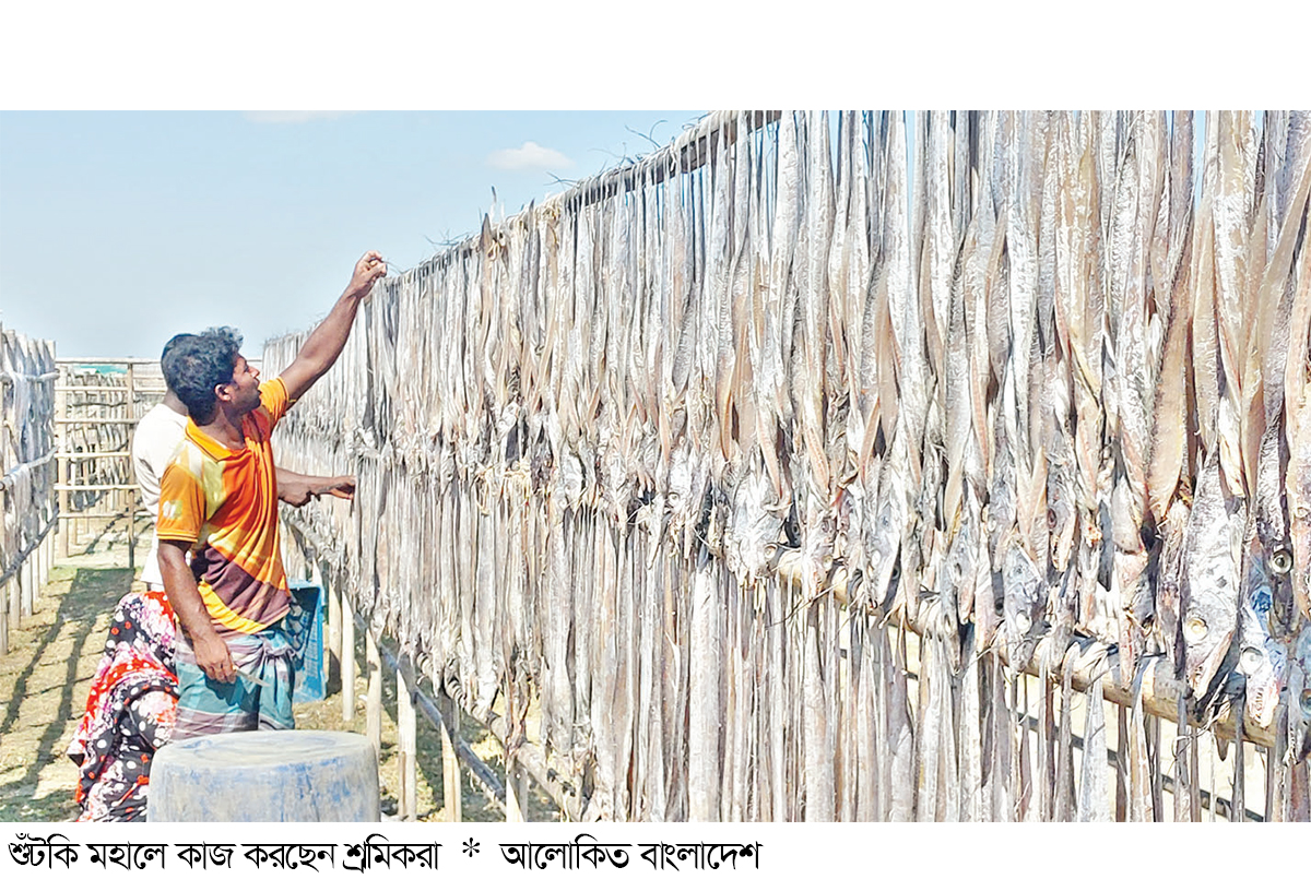 একমাস আগেই গুটিয়ে ফেলা হলো শুঁটকি মহাল