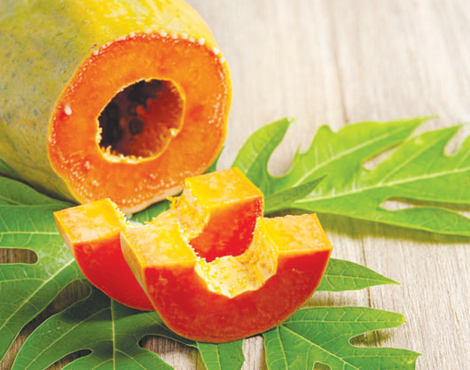 পেঁপের উপকারিতা
