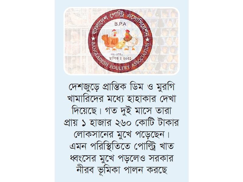 মে থেকে ডিম-মুরগির খামার বন্ধের ঘোষণা