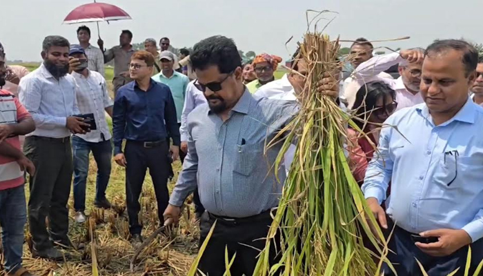ভবিষ্যৎ বাংলাদেশ হবে ক্ষুধামুক্ত: কিশোরগঞ্জে খাদ্য সচিব